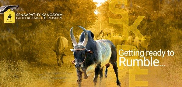 History | Senaapathy Kangayam Cattle Research Foundation History | Senaapathy Kangayam Cattle Research Foundation