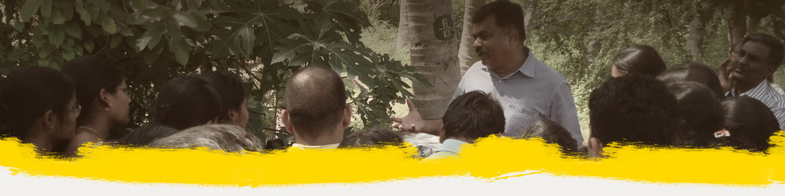 Awareness / Training & Consultancy