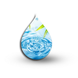 rain water harvesting